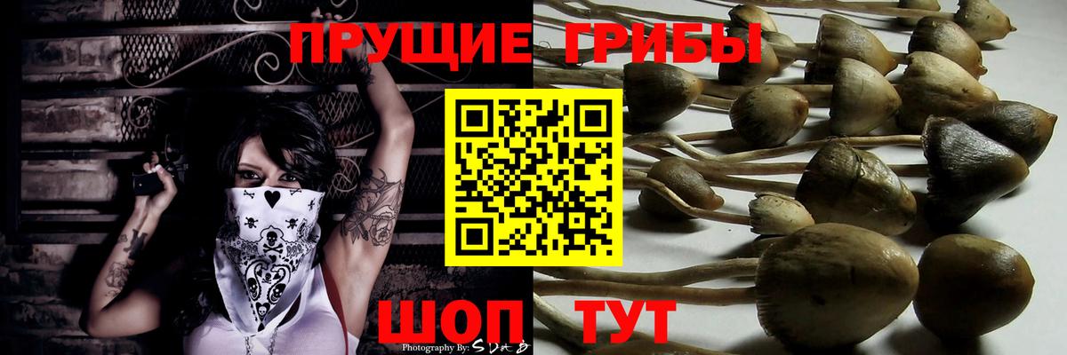 Галлюциногенные грибы мухоморы Новоалтайск