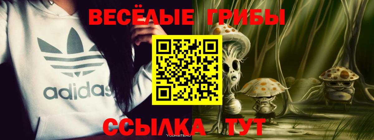 Новоалтайск  даркнет сайт  Галлюциногенные грибы Cubensis  Вход с VPN  Галлюциногенные грибы GOLDEN TEACHER 